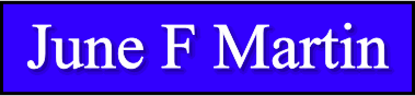 June F Martin business services